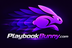 PlaybookBunny